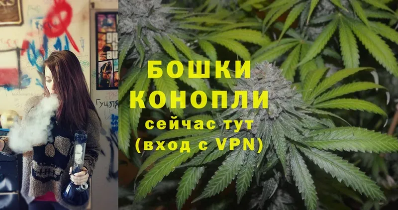 Каннабис SATIVA & INDICA  наркота  Козьмодемьянск 